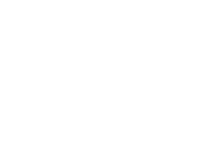 PirateFlag.png