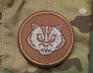 File:Devil Badgers.jpg