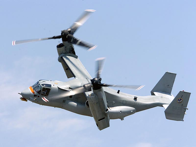 File:Osprey.jpg