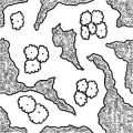 Thumbnail for version as of 13:48, 3 December 2012