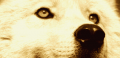 Thumbnail for version as of 19:20, 20 June 2014