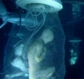 Thumbnail for version as of 19:30, 21 September 2011
