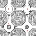 Thumbnail for version as of 14:09, 3 December 2012